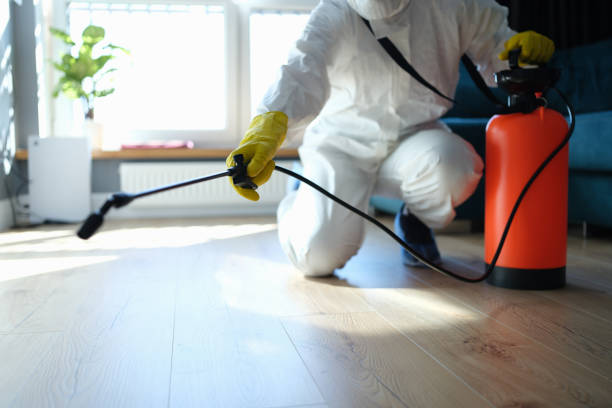 Reliable Blood Cleanup contractor in Somerset, TX by Trauma Clean Pros